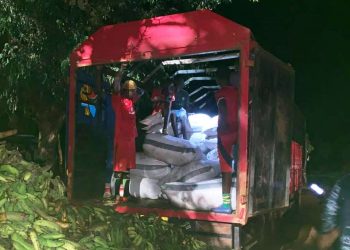 118 bags of cocoa intercepted on Togo-bound truck in North East