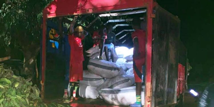 118 bags of cocoa intercepted on Togo-bound truck in North East