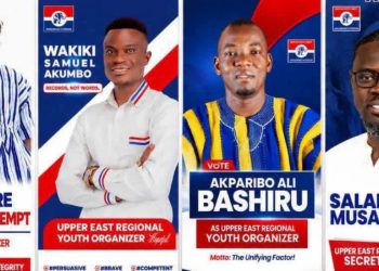 Tension mounts in Upper East NPP over regional Youth Organizer election