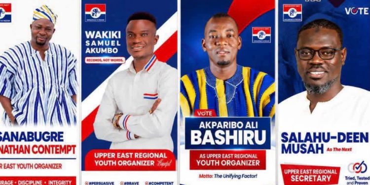 Tension mounts in Upper East NPP over regional Youth Organizer election 41 Tension mounts in Upper East NPP over regional Youth Organizer election