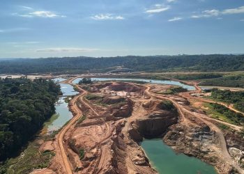 8,900 hectares of forest reserves destroyed as galamsey leaves Ghana with massive reclamation challenge