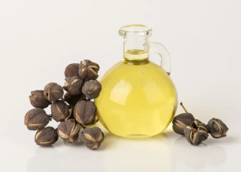 KNUST study finds Jatropha Oil can be turned into High-Performance Engine Lubricant