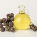 KNUST study finds Jatropha Oil can be turned into High-Performance Engine Lubricant