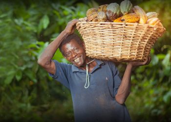 National Best Farmer to win GH¢1.2m, Navara, tractor and Italy trip