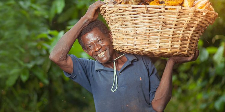 National Best Farmer to win GH¢1.2m, Navara, tractor and Italy trip 41 National Best Farmer to win GH¢1.2m, Navara, tractor and Italy trip