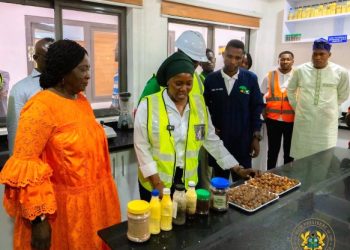 Ghana must stop exporting raw shea and importing finished products — Vice President