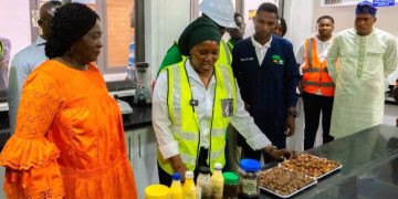 Ghana must stop exporting raw shea and importing finished products — Vice President