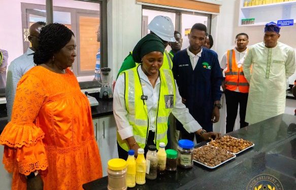 Ghana must stop exporting raw shea and importing finished products — Vice President