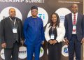 Africa has the Gas, But not the infrastructure — Ghana Gas CEO tells African leaders