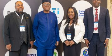 Africa has the Gas, But not the infrastructure — Ghana Gas CEO tells African leaders