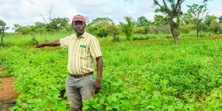 Sissala large-scale agribusiness entrepreneur calls for govt support to tackle youth migration, illegal mining