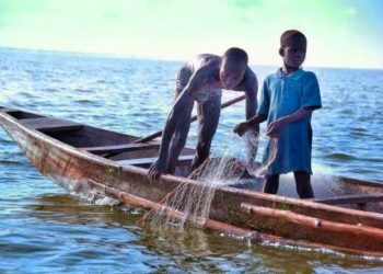 Ghana hits top anti-trafficking rank, but child exploitation persists