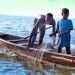 Ghana hits top anti-trafficking rank, but child exploitation persists